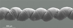 nonothread-sm Carbon Nanotube